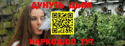 гидра Берёзовский