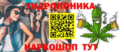 хмурый Бийск