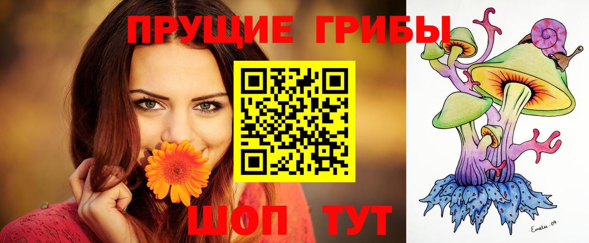 Псилоцибиновые грибы ЛСД  Вход с VPN  Кинель 